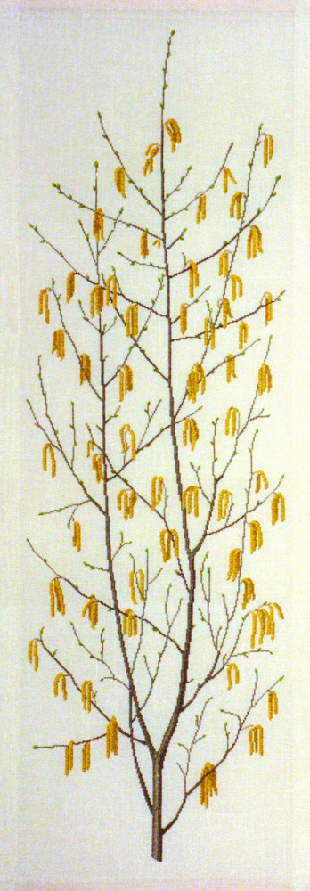 Hazel Branch