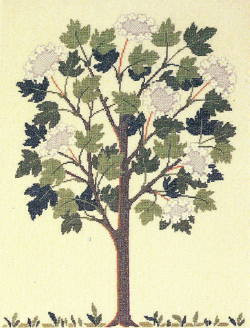 Viburnum