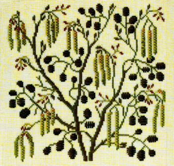 Alder