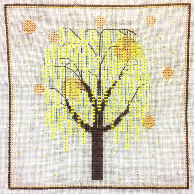 Laburnum