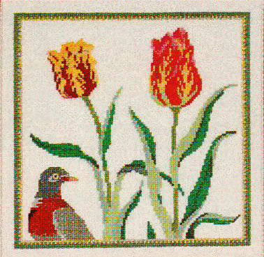 Tulips and Wood Pigeon
