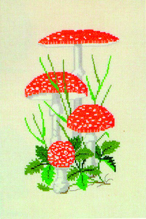 Fly Agaric