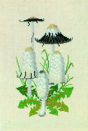 Shaggy Ink Cap