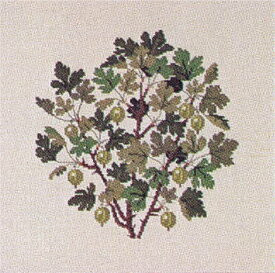 Gooseberry