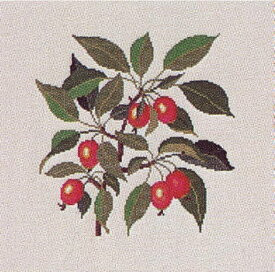 Crab Apple