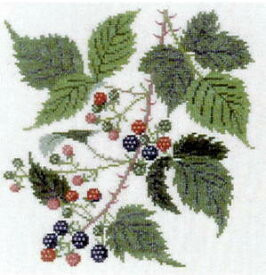 Blackberry