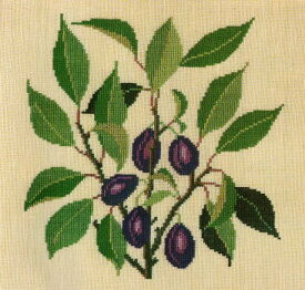 Plum