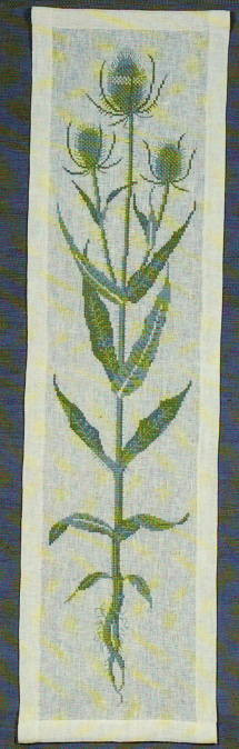 Teasel Green