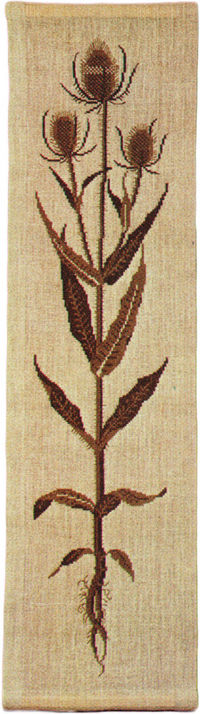 Teasel Brown