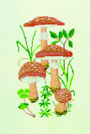 Blusher Mushroom