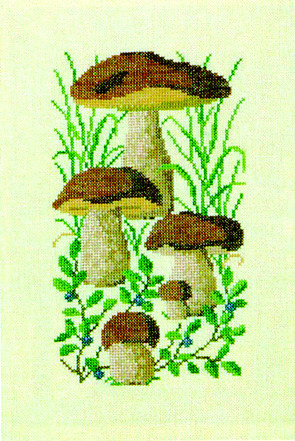 Boletus