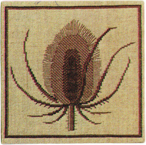 Teasel, Brown
