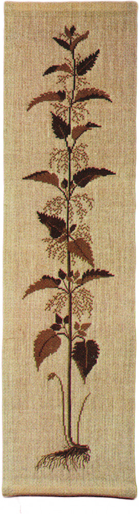 Nettle, Brown
