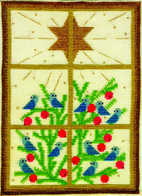 Christmas Bush