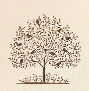Sparrow