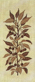 Cherry brown