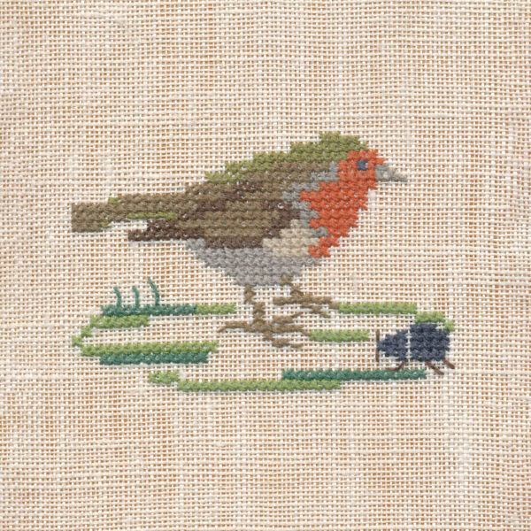 Robin