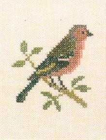 Chaffinch