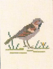 Sparrow