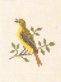 Icterine Warbler