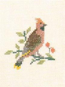 Waxwing