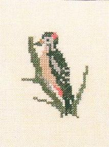 Woodpecker