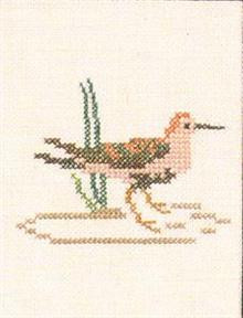 Sandpiper