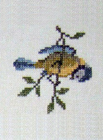 Bluetit
