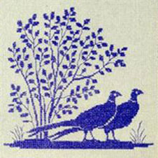 Pheasant