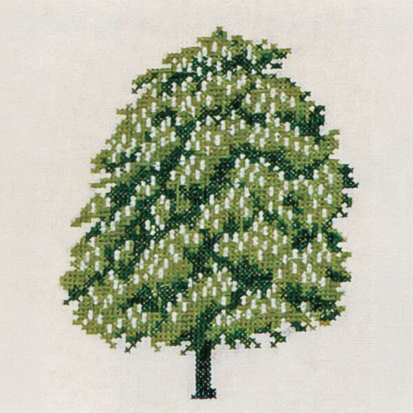 Horse Chestnut