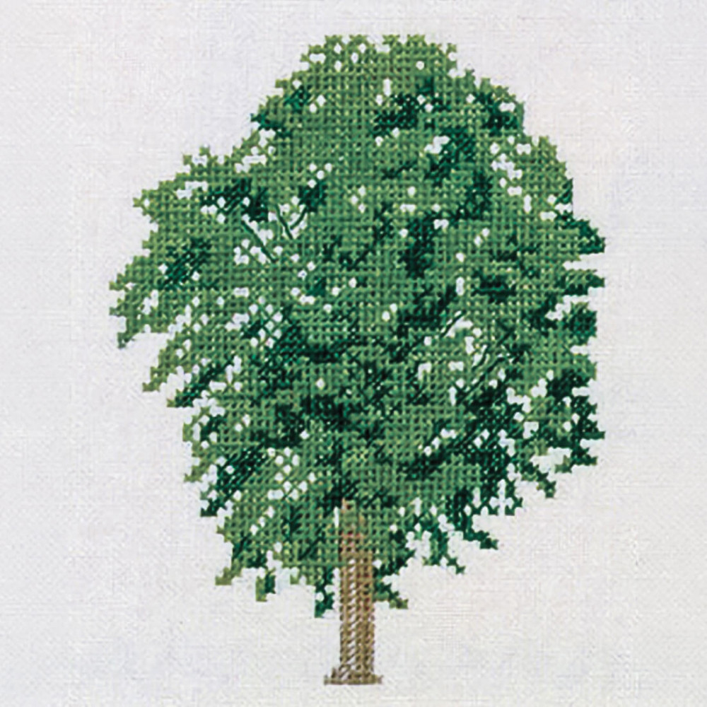 Elm