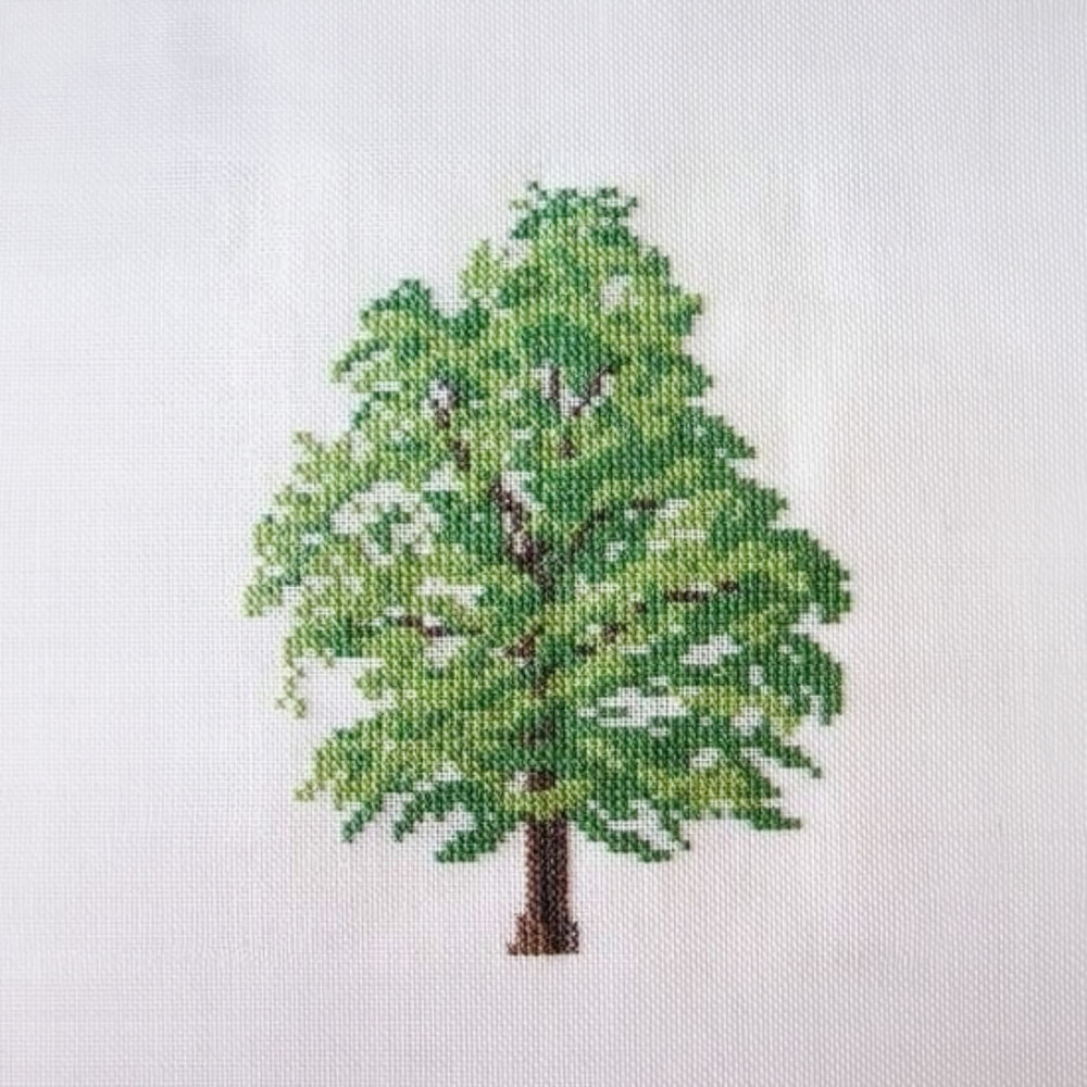 Oak