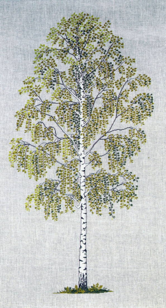 Big Birch