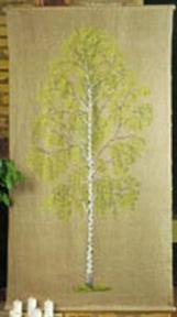 Big Birch