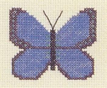 Blue Butterfly