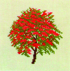 Red Hawthorn