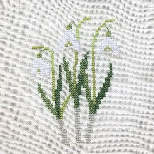 Snowdrops