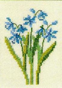 Scilla