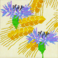 Cornflower