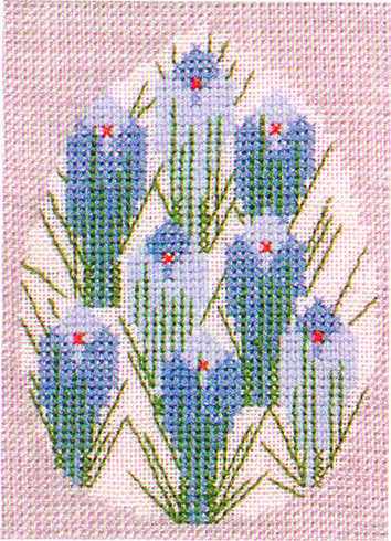 Crocus in Egg