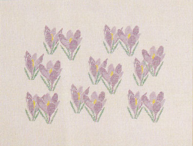 Crocus