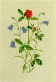 Red Clover