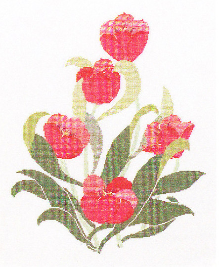 Red Tulip
