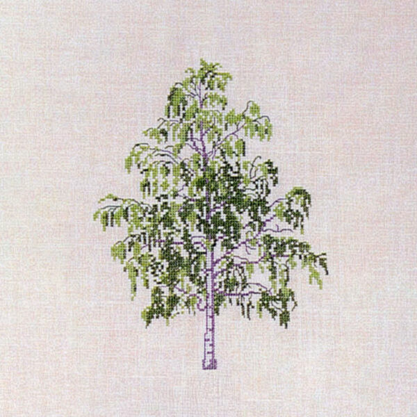 Birch