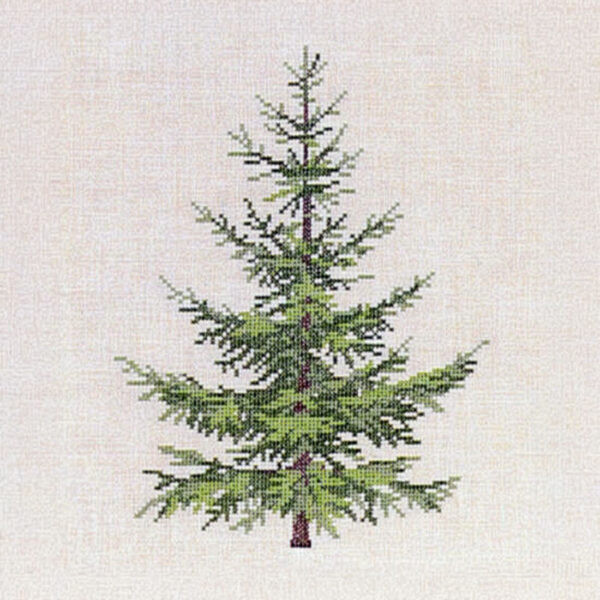 Spruce