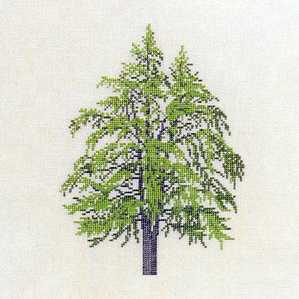 Ginkgo