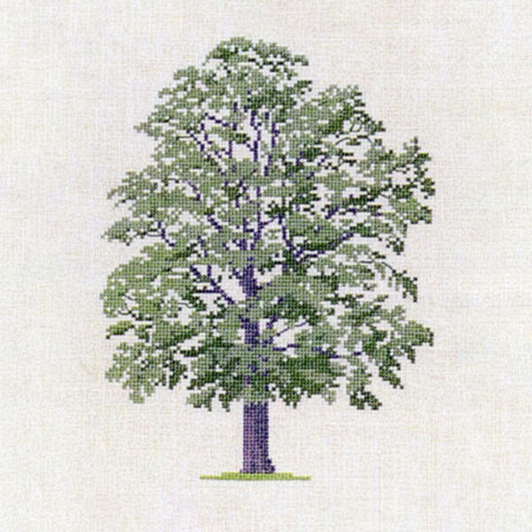 Honey Locust