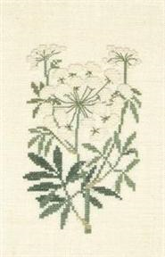 Water Hemlock