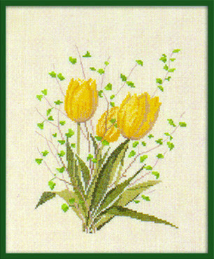 Three Tulips