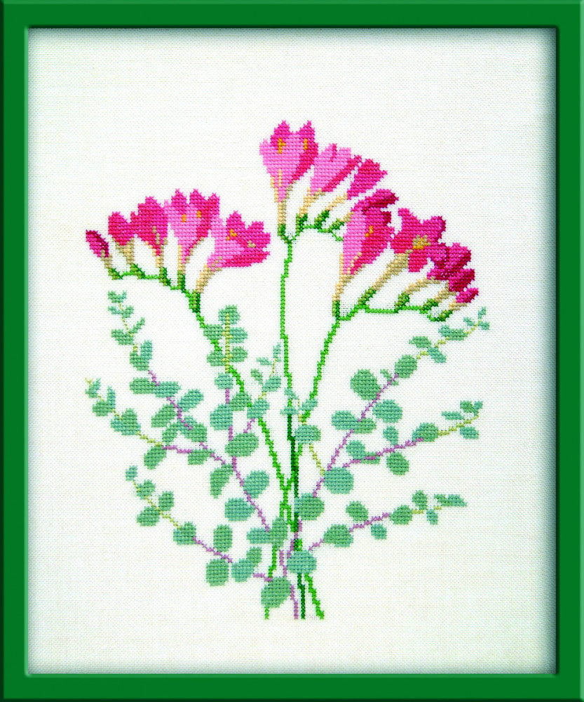 Freesia